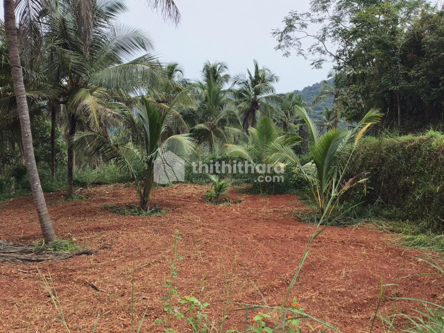 Residential plot for sale at Vengara Malappuarm