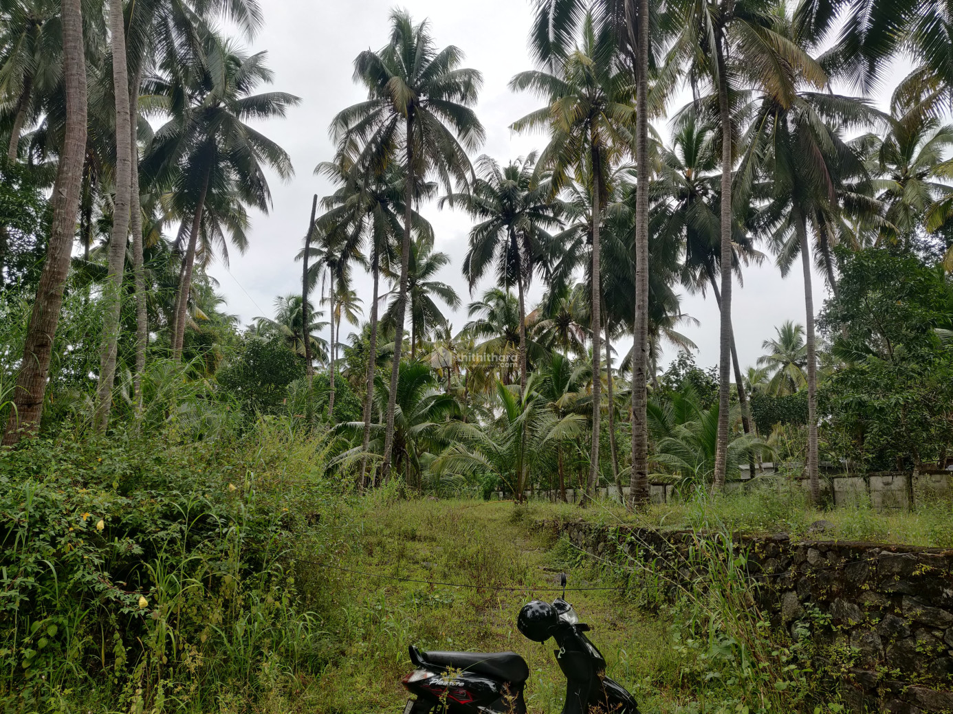 Residential Land available for Sale in Guruvayur, Thrissur