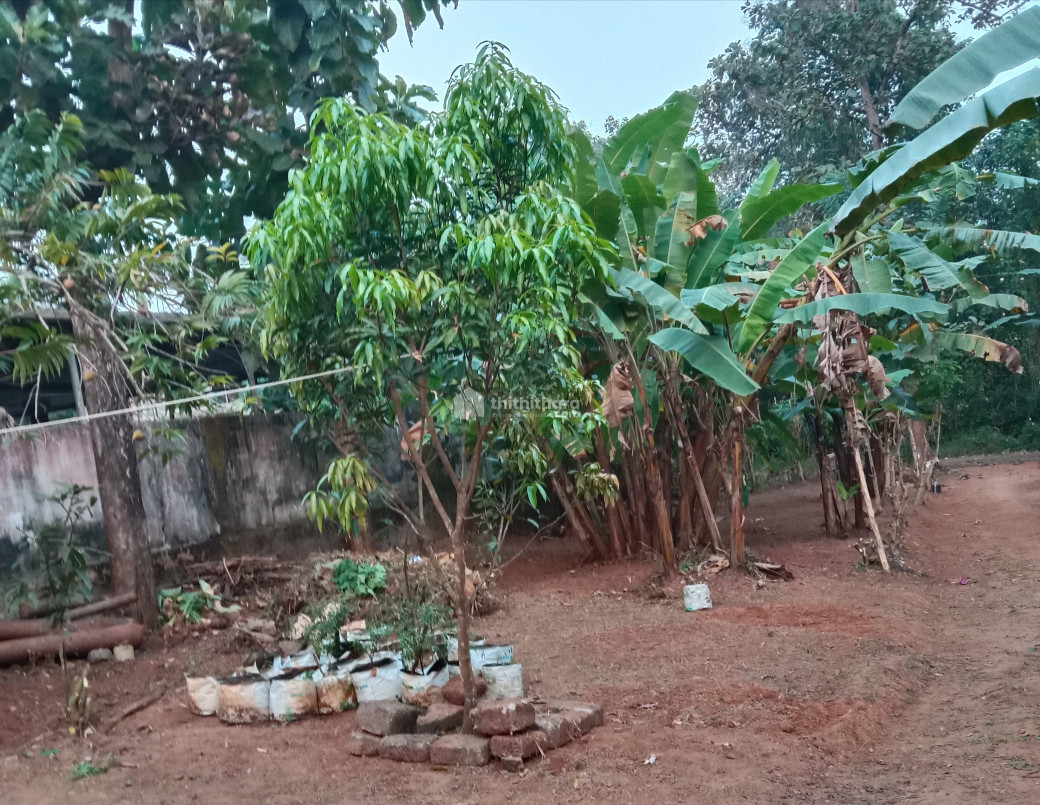 6 cent residential plot for sale at Velupadam, Puthukkad