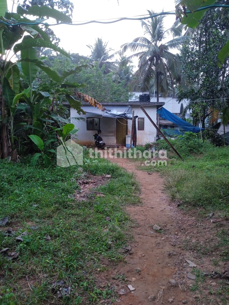 1 BHK Independent House available for Sale in Balusseri Kozhikode