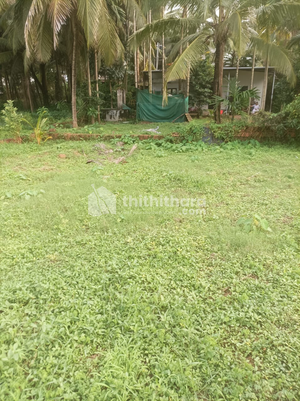 Residential Land for sale at Vellur Kannur