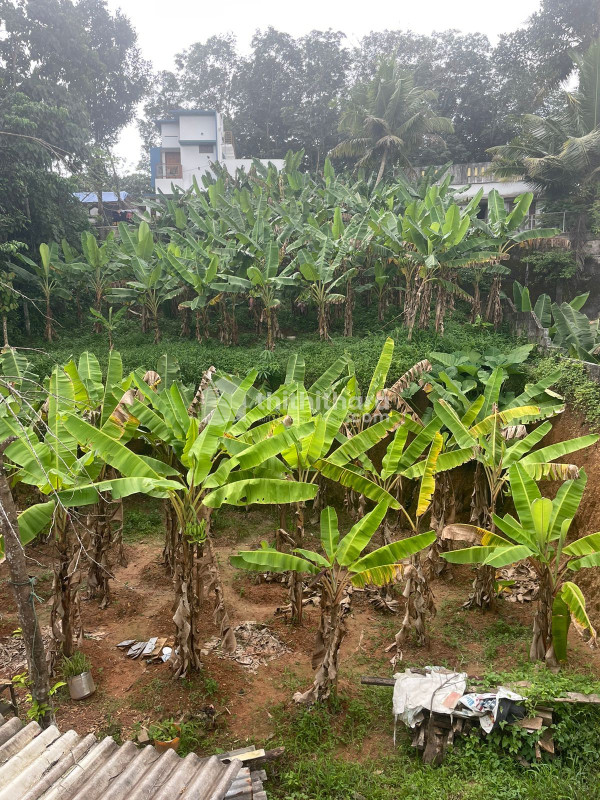 Commercial Plots available for Sale in Nedumangad Thiruvananthapuram