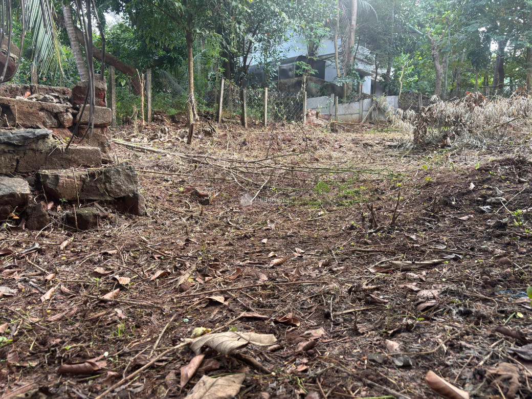 Residential land for sale at Thiruvilwamala Thrissur