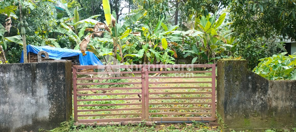 Residential Land for sale in Kolazhy Thrissur