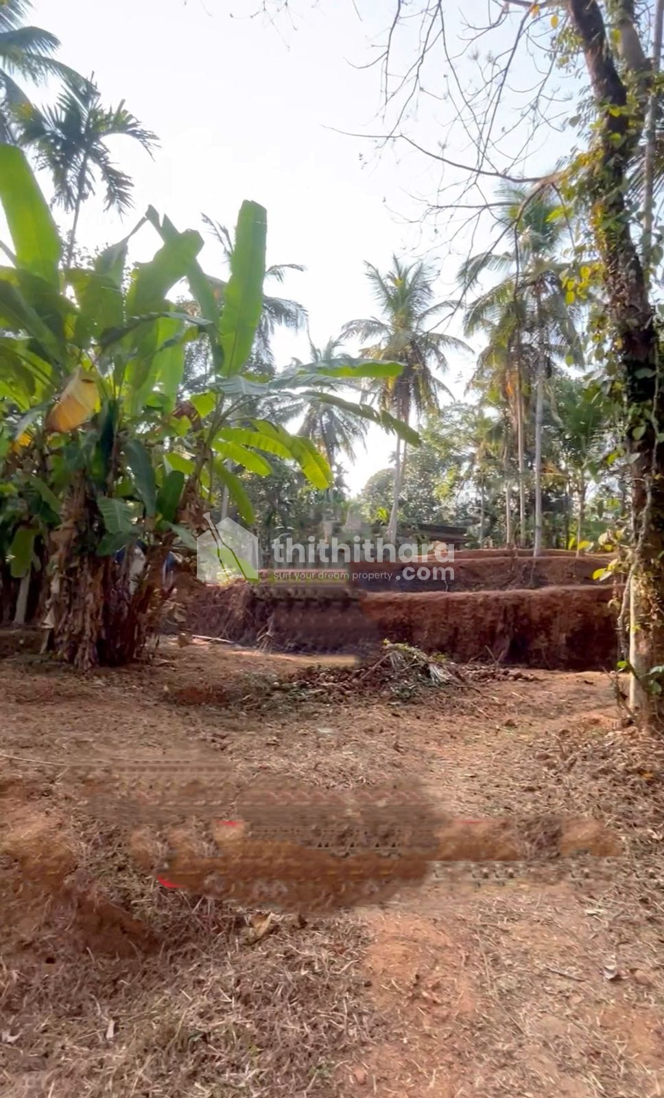 Commercial Plots available for Sale in Perambra Kozhikode