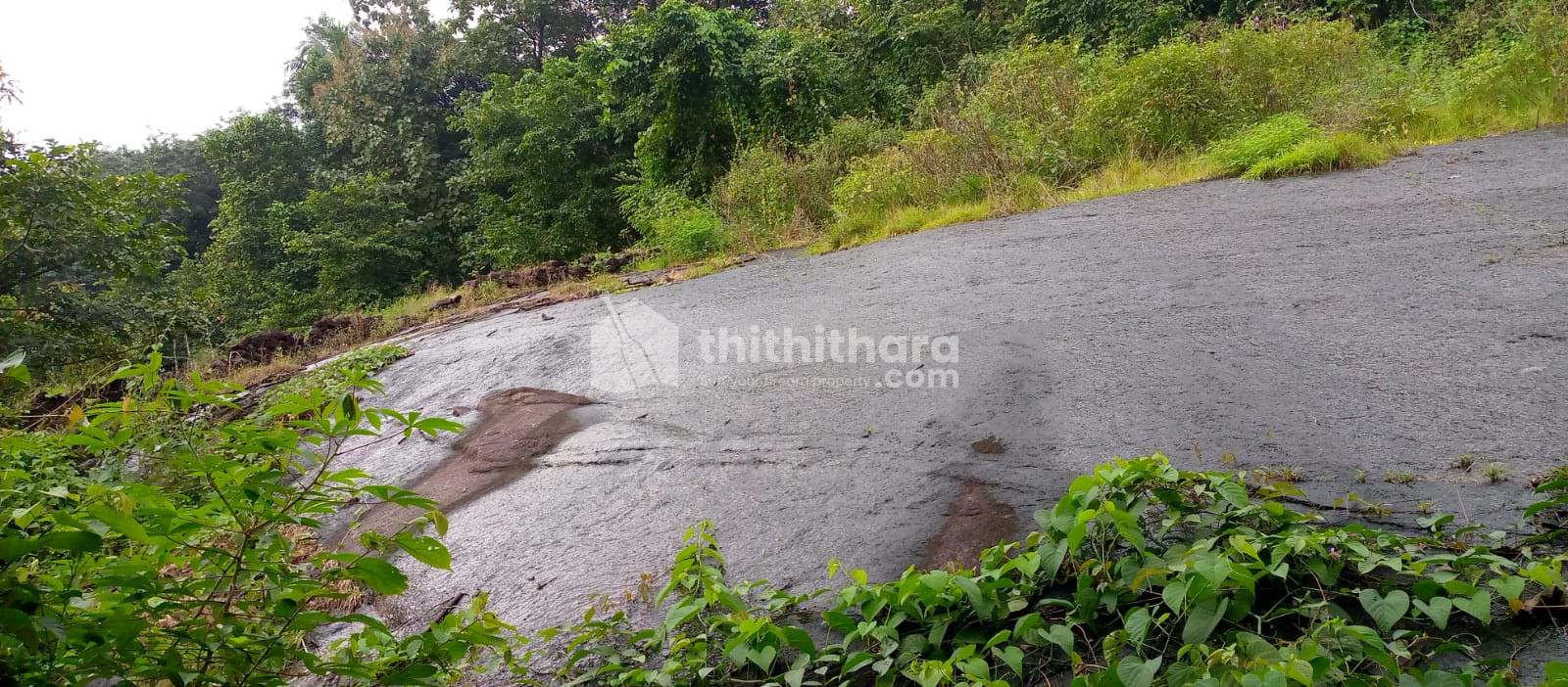 Commercial Land for sale at Pala Kottayam