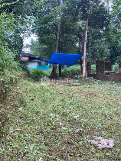 Residential Land available for Sale in Perumanna Kozhikode