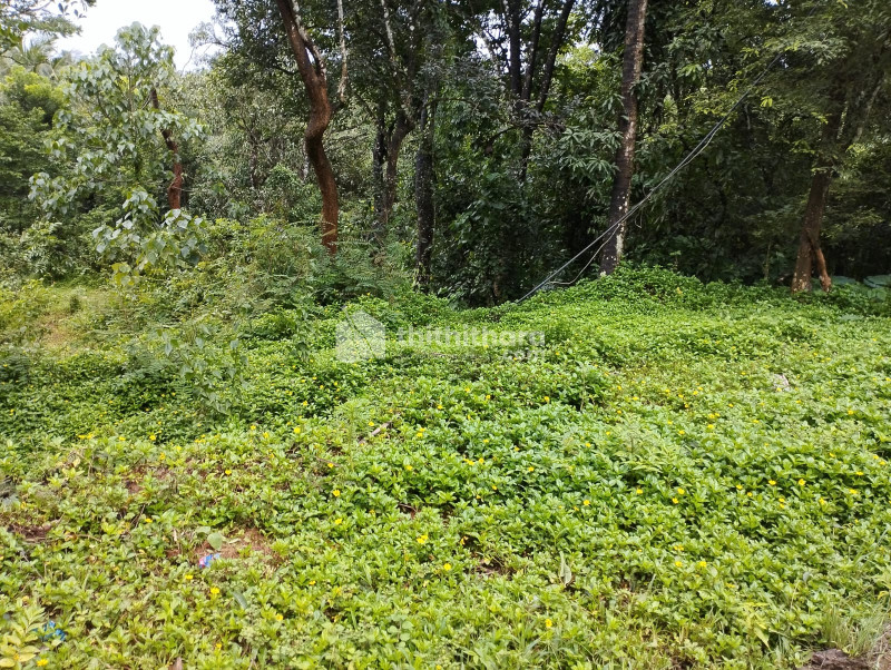 Residential land for sale at Mananthavady Wayanad