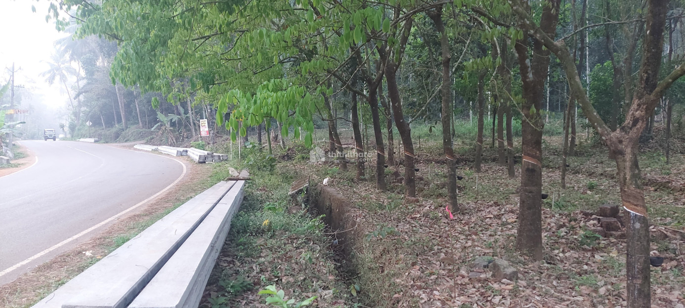Commercial plot for lease at Nallompuzha Kasaragod