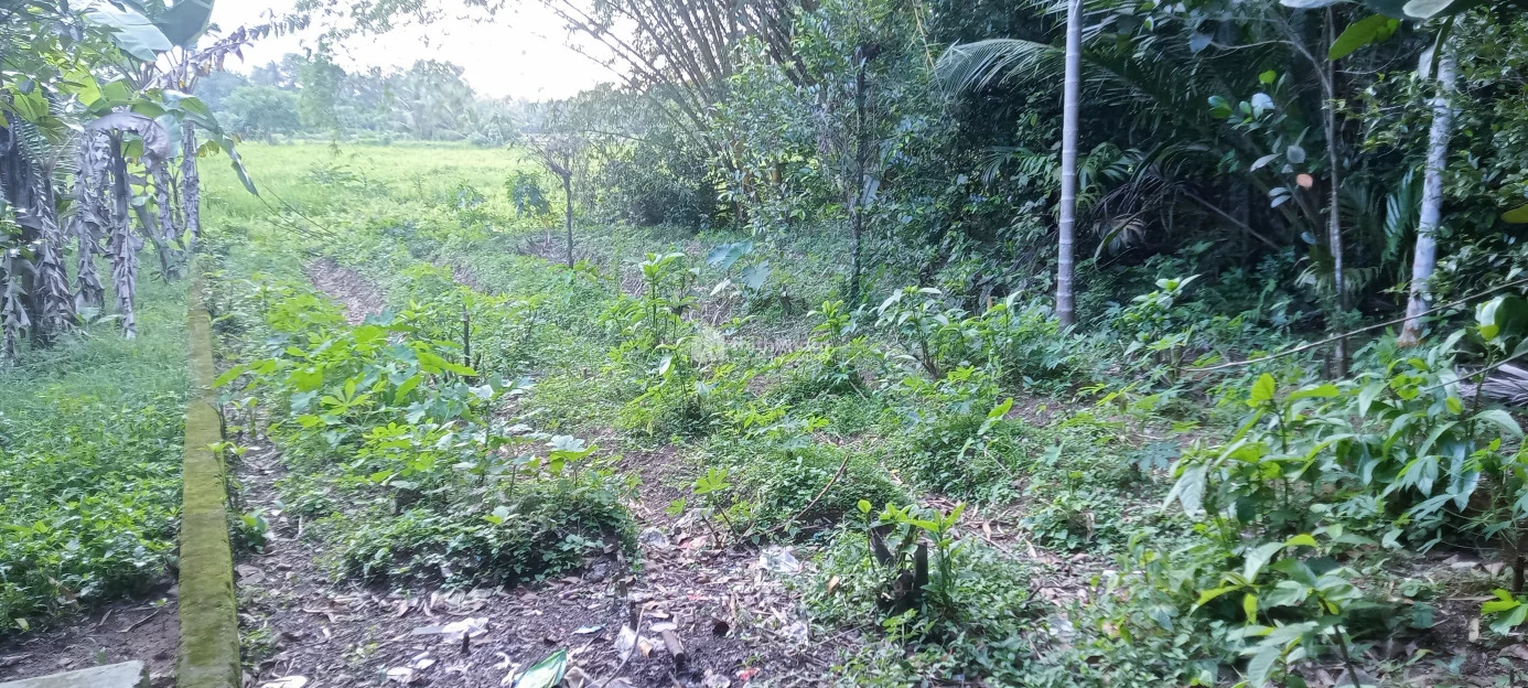 Residential land for sale at Aluva Ernakulam