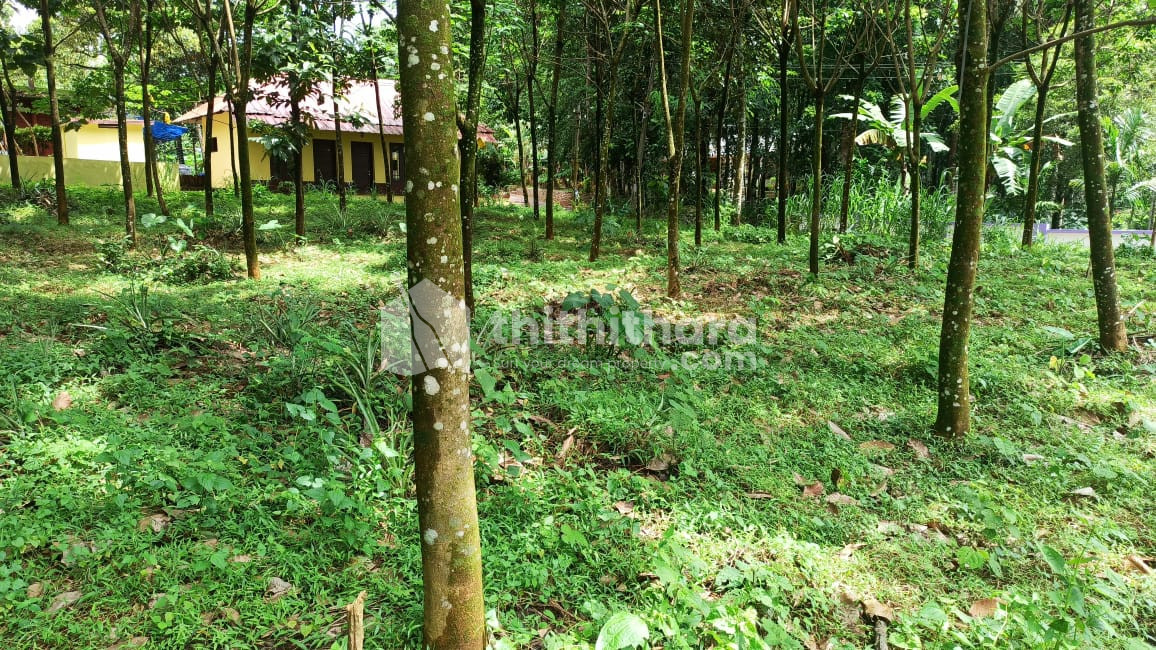 Residential Plot for Sale in Manakkad,Thodupuzha