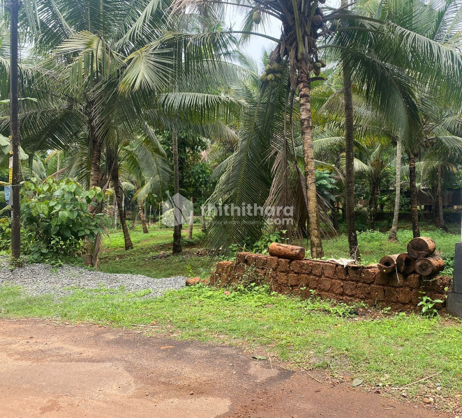 53.25 Cent residential plot for sale at  Kondotty-Kizhisseri