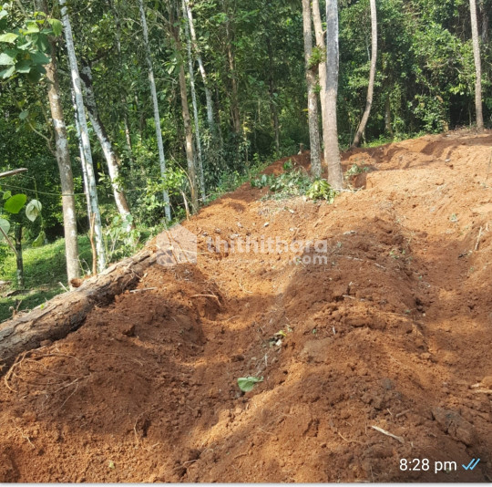 20 cent residential land for sale at Poyya, Mala
