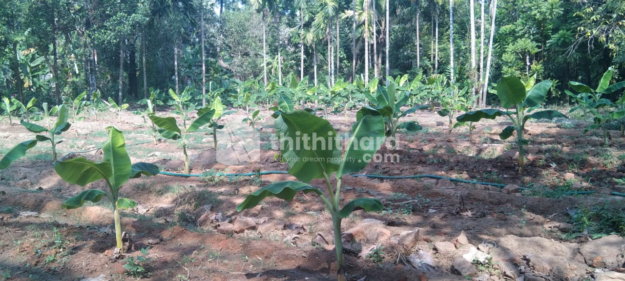 Residential Land available for Sale in Chalakudy, Thrissur