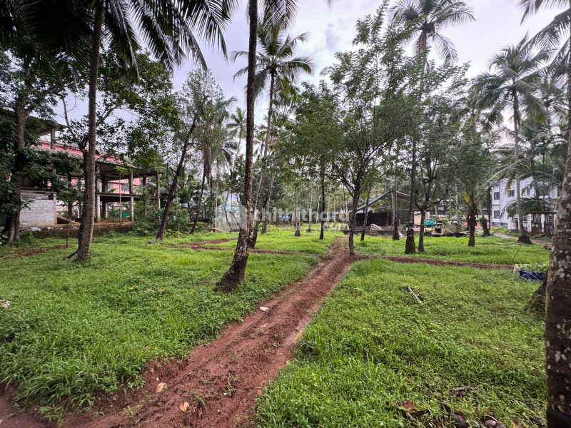 Residential Land available for Sale in Balusseri Kozhikode