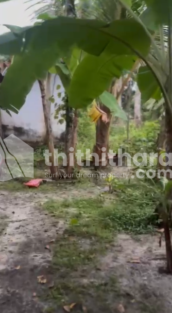 Residential Land available for Sale in  Paravoor Alappuzha 