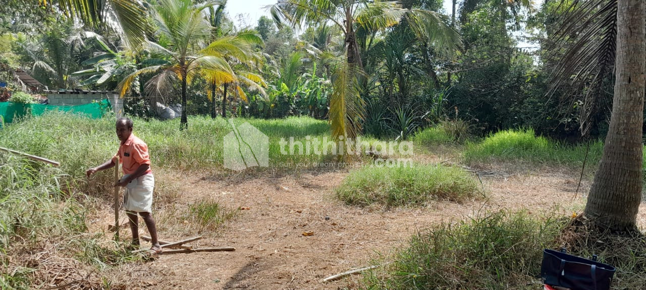 Residential land for sale at Ambalappuzha Alappuzha
