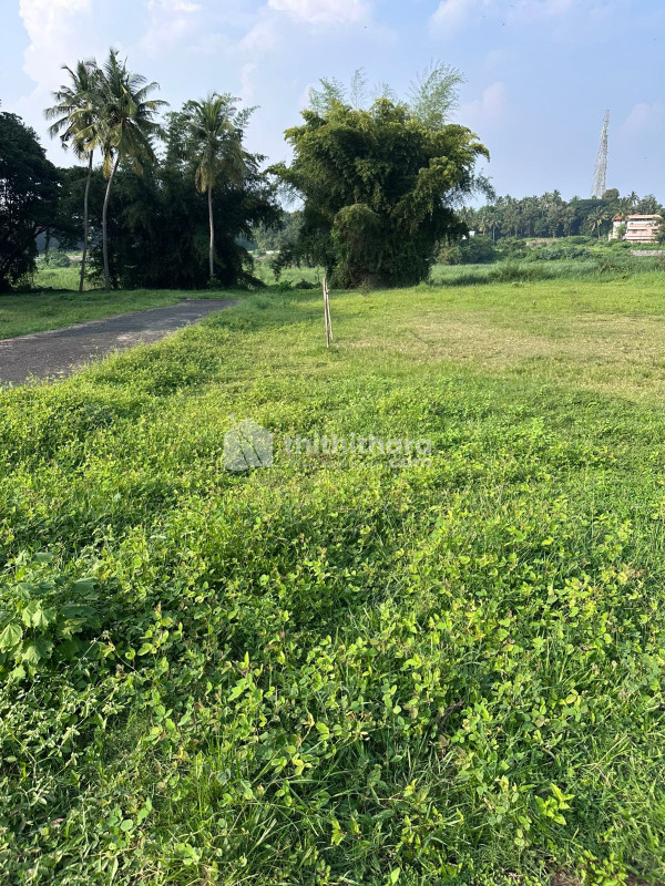 House plot for sale at Yakkara Palakkad