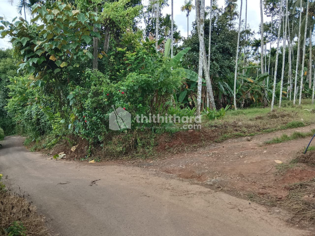 Residential Plot for sale at Sulthan Bathery Wayanad