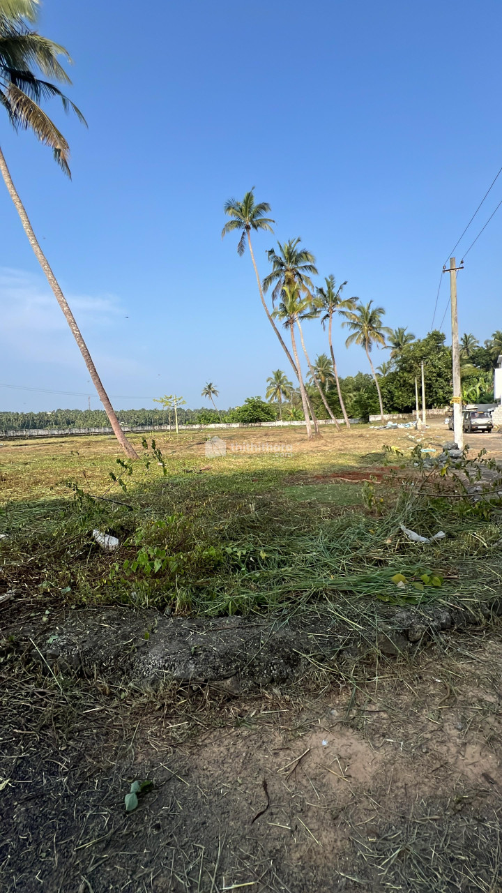 Residential plots available for sale in mundur Thrissur