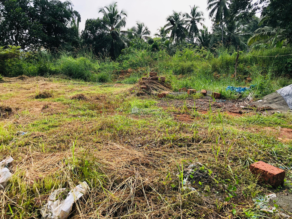 Residential Land available for Sale in Vengara Malappuram