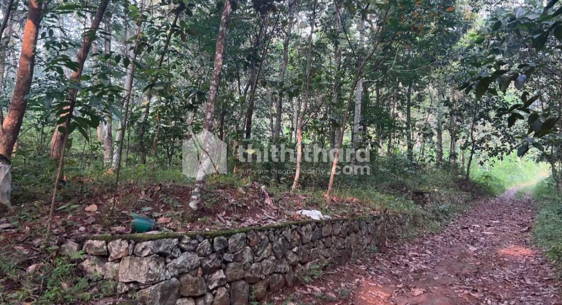 Residential Land available for Sale in Adoor Pathanamthitta