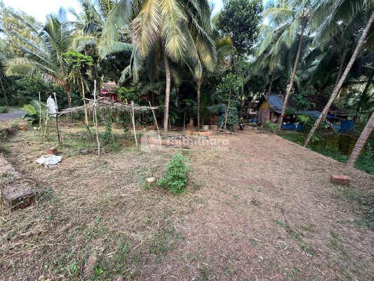 Residential land available for sale in Udma Kasaragod