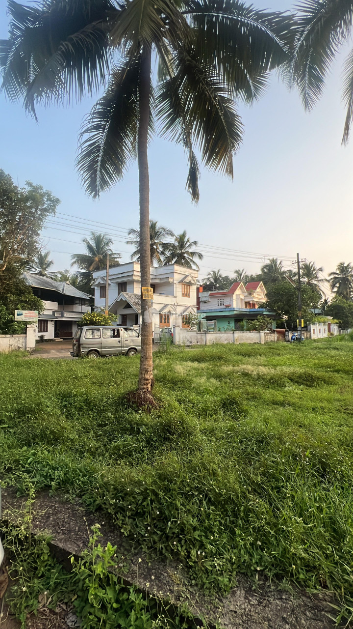 Residential Land available for sale in kuttoor Thrissur