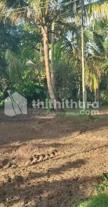 Residential Land for sale at Padiyam  Anthikad Thrissur