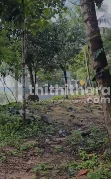 Commercial Plots available for Sale in Edappal Malappuram