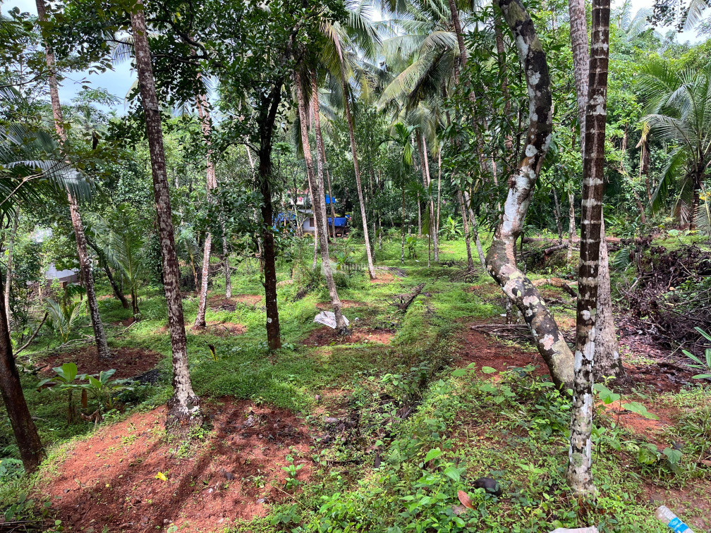 Commercial plots available for Sale in Nadapuram Kozhikode