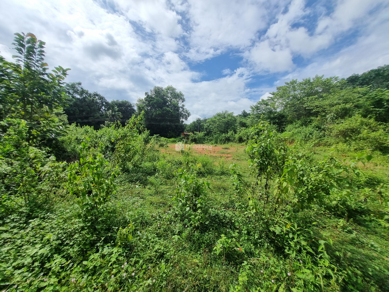 Commercial Plots for sale at Ottapalam Palakkad
