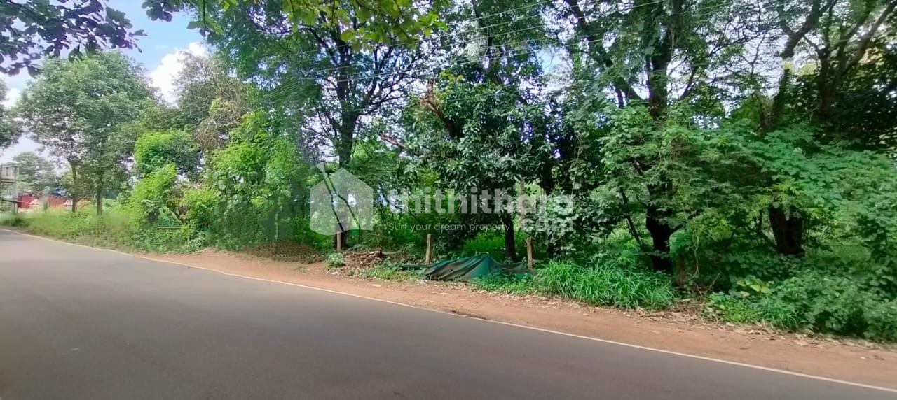 Commerical Land for sale in Athani Thrissur 