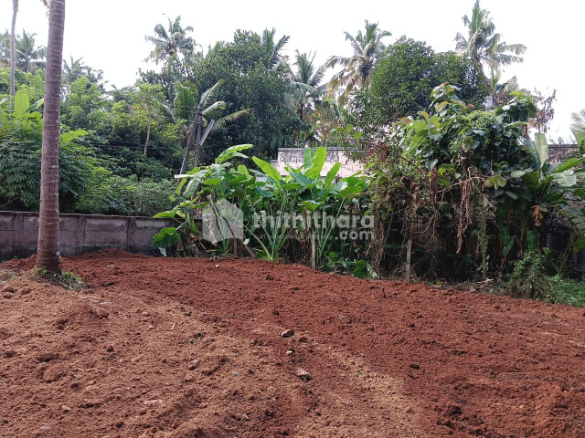  Residential land For sale in Chiyyaram Thrissur