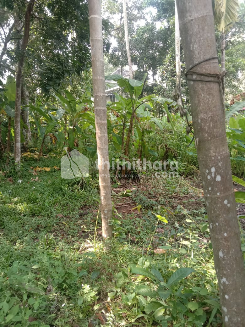 Residential Land available for Sale in Cherthala Alappuzha