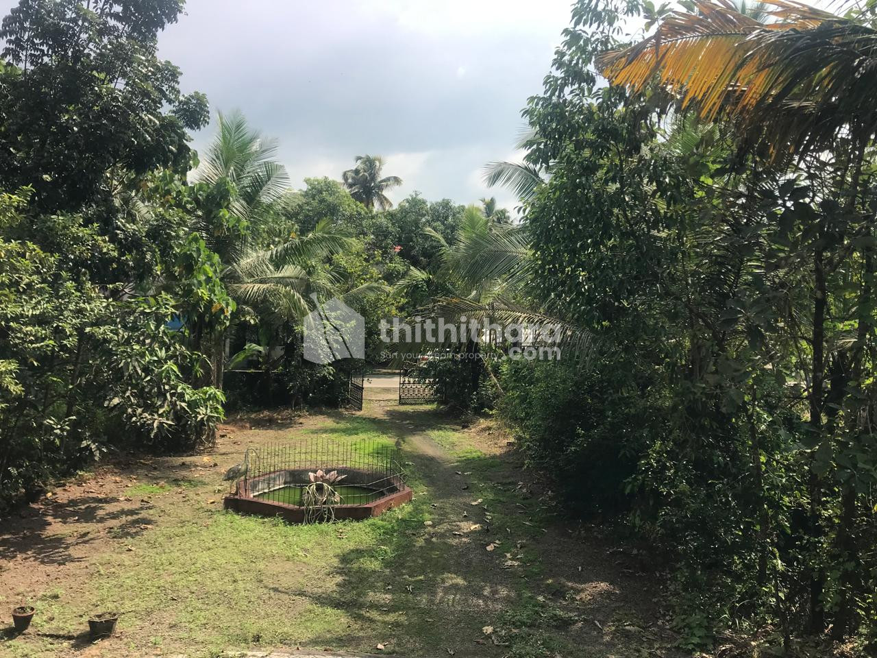 Commercial Plots available for Rent in Angamaly Ernakulam