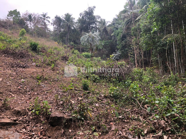 Residential land for sale at Mavoor ,Kozhikkode