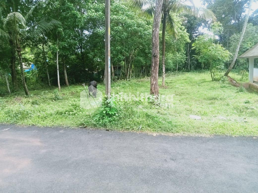 Residential land for sale at Anjilimood Kollam