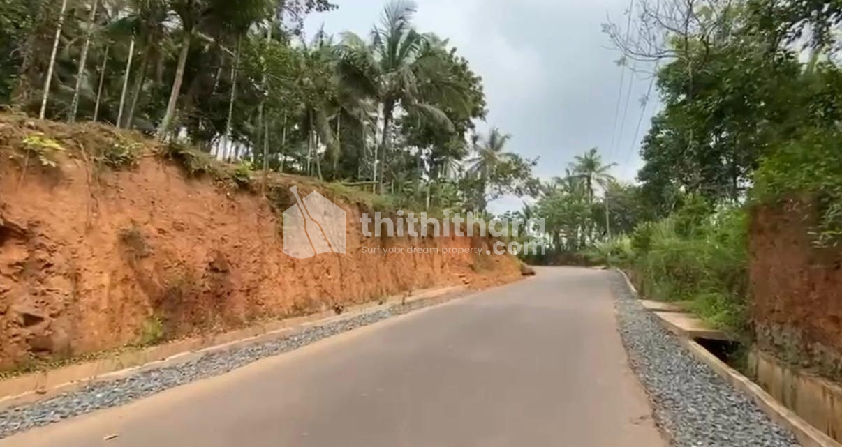 Commercial Plots available for Sale in Mattannur Kannur