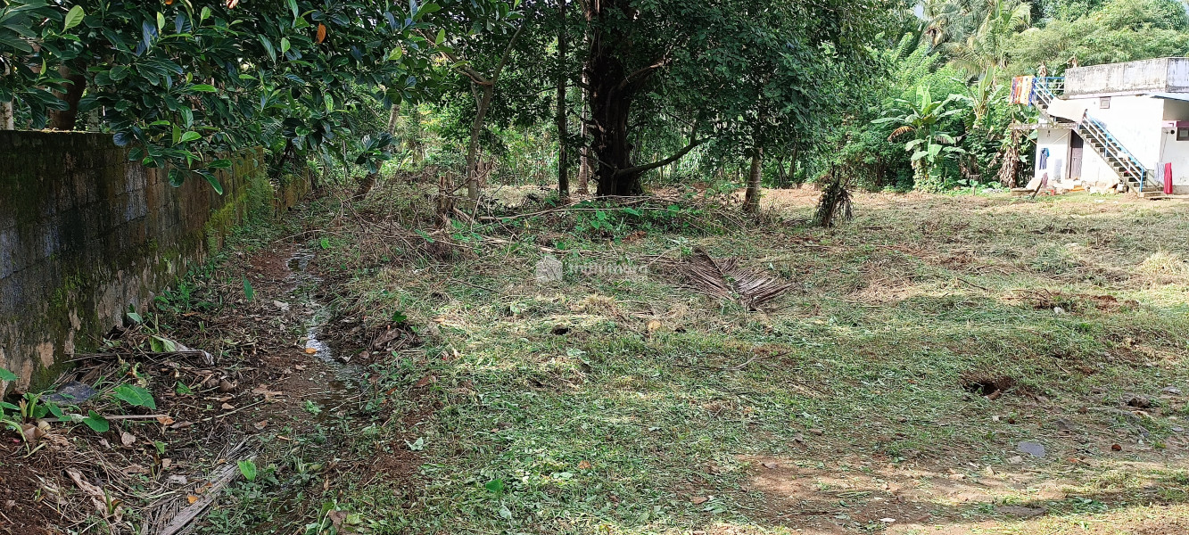 Agricultural Land for sale at Mudikode Thrissur