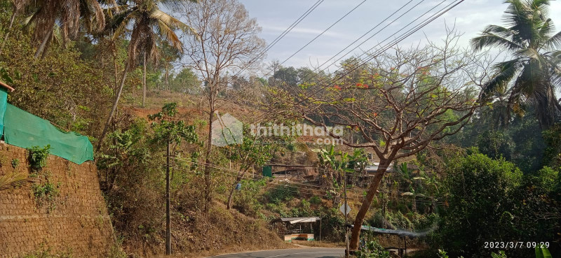 1.5 acre Land for sale Kunnumaki, Hosdurg