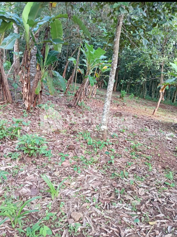 Residential Land for sale at Nedumankavu Kollam