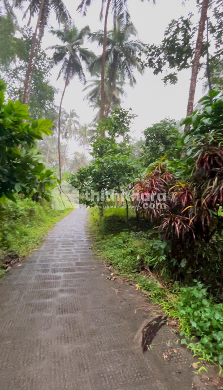 Residential Land available for Sale in Thiruvambady Kozhikode
