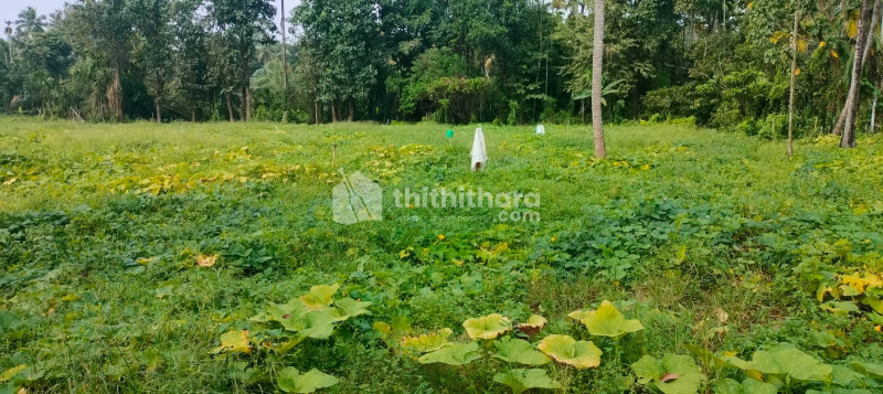 Residential land for sale in Kodakkara Thrissur 
