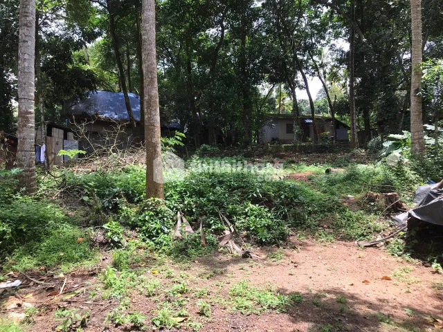 Residential Land available for Sale in Karakonam, Parassala, Thiruvananthapuram