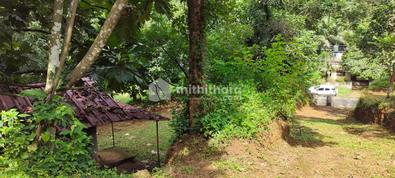Commercial Plots available for Sale in Wadakkanchery Thrissur