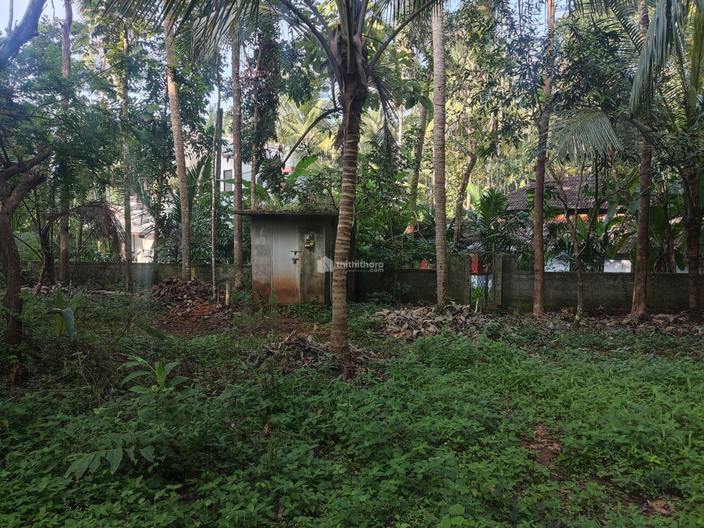 കാലിക്കറ്റ് യൂണിവേഴ്സിറ്റിക്കടുത്ത് സ്ഥലം വിൽപ്പനക്ക്