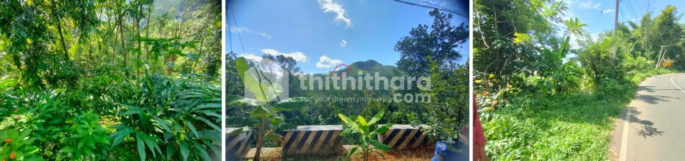 Commercial Plots available for Sale in Devikulam Idukki