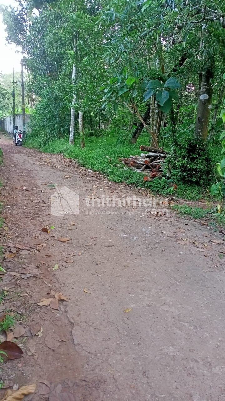 Residential Land available for Sale in Kunnathur Kollam