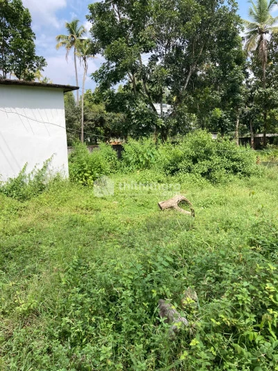 Residential Land available for Sale in  Aluva Ernakulam